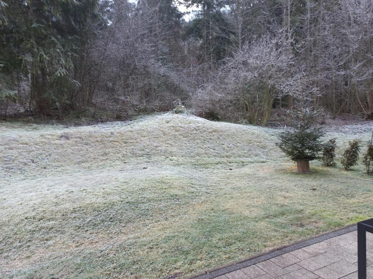 Ferienwohnung Am Wald Waidring Exterior foto